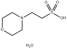 MES hydrate Structure